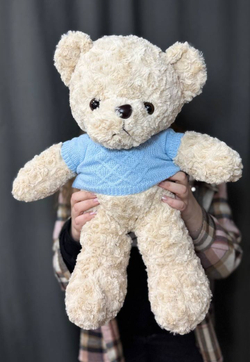 Медведь в синей кофточке