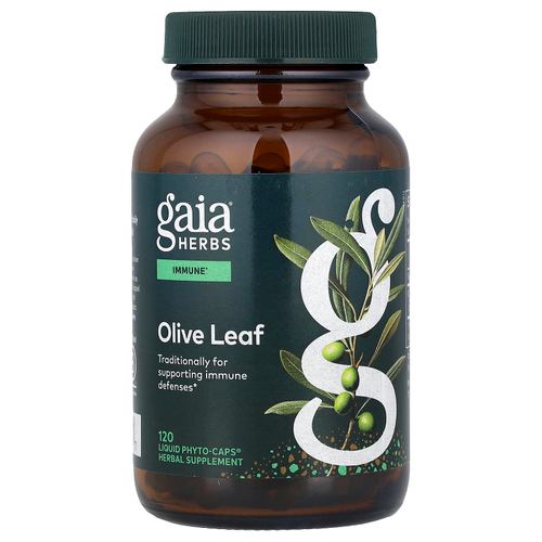 Gaia Herbs, лист оливкового дерева, 120 капсул Phyto-Caps®