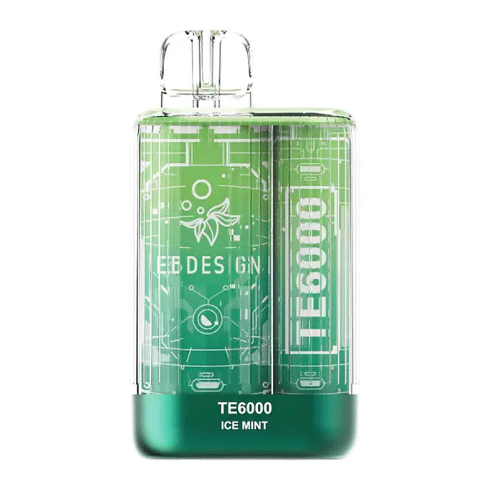 Elf Bar TE6000 - Ice Mint (5% nic)
