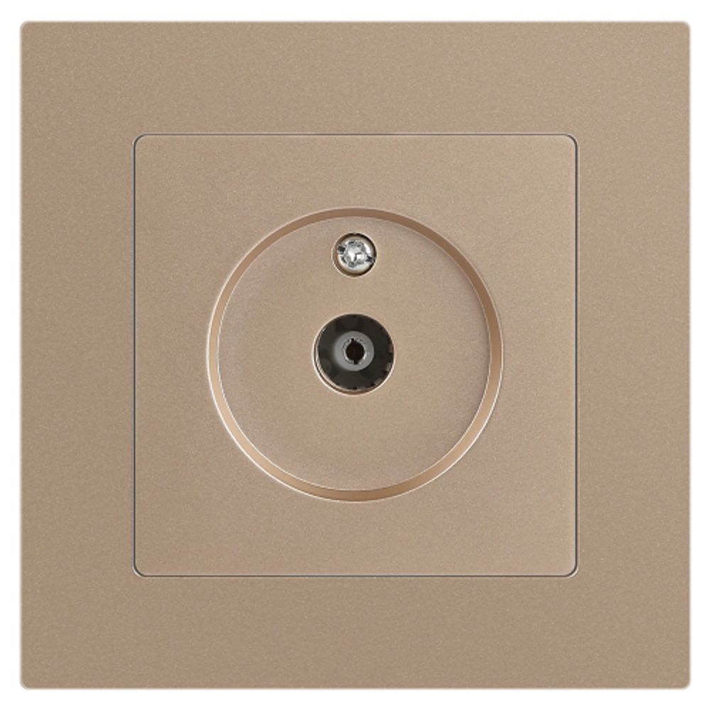 Розетка Intro Accent 6-301-04 TV одиночная, IP20, СУ, шампань