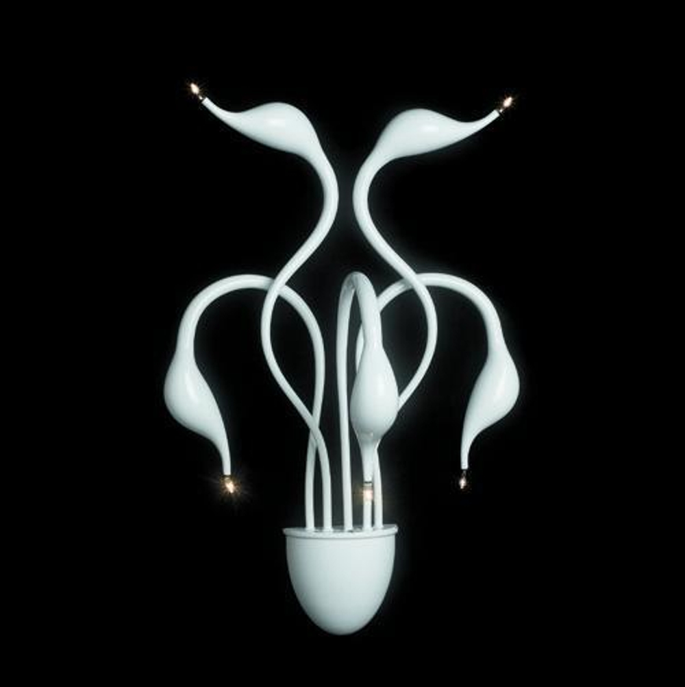 бра Alta Risoluzione