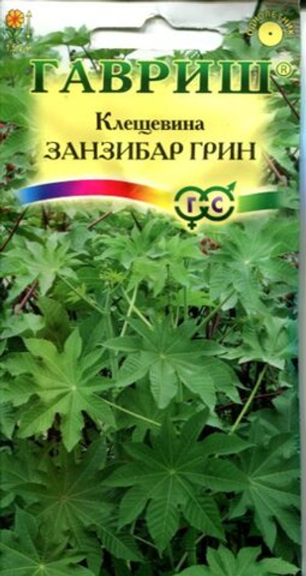 Клещевина Занзибар Грин 5шт Гавриш