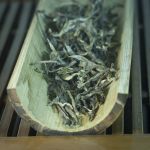 Шэн пуэр ранневесенний из Мэнсун, урожай 2022 г