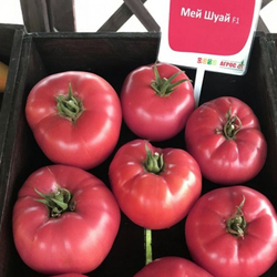 Семена томата Мей Шуай F1, Seminis, 5 шт.