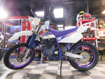 Yamaha TT-R 250 Open Enduro 4GY-004411