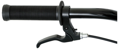 BMX Welt BMX Freedom 2.0 (2024)