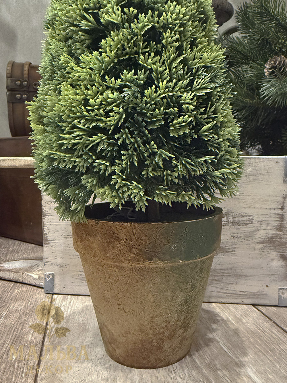 Туя в кашпо декоративная 15x15x36 см