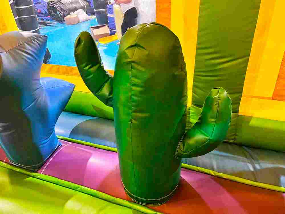 Коммерческий надувной батут «Попугаи и друзья» с крышей, 6x4x4 м