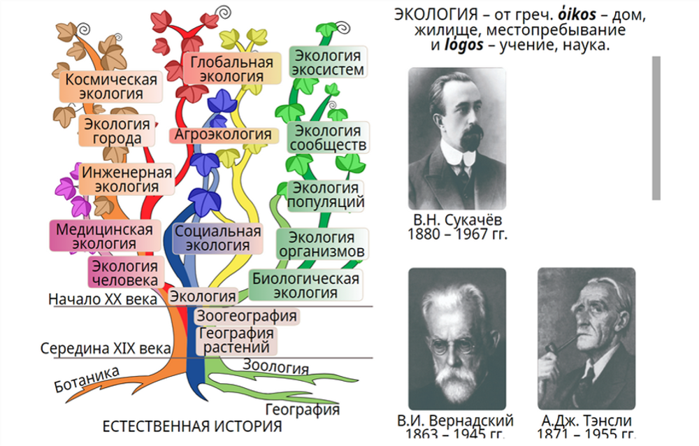 Электронные образовательные ресурсы, в том числе интерактивные плакаты, сборник интерактивных заданий, интерактивное наглядное пособие, электронные плакаты и тесты