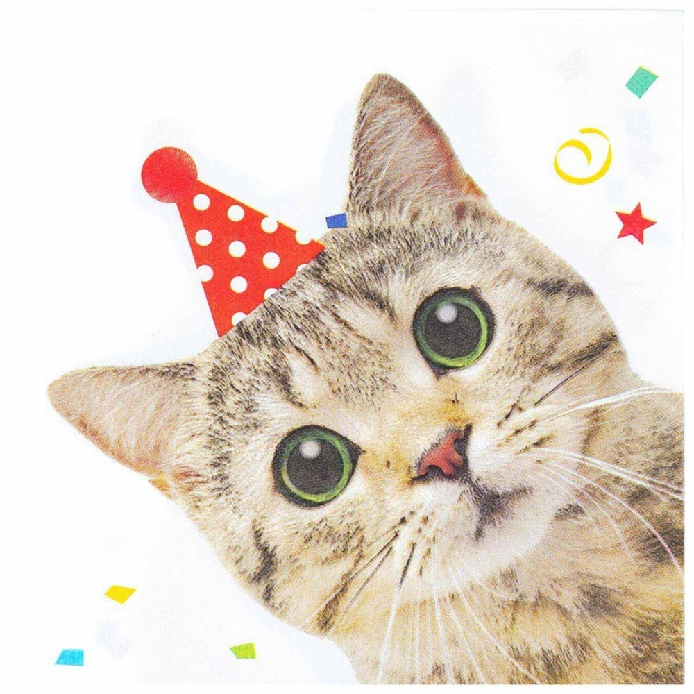 Салфетки «Котики» фотографичные, 25 см / 33 см, 12 шт