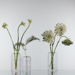 Ваза muse, 20 см