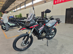 Мотоцикл Loncin DS250 Rally