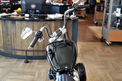 Мотоцикл Harley-Davidson Softail Standard 2022