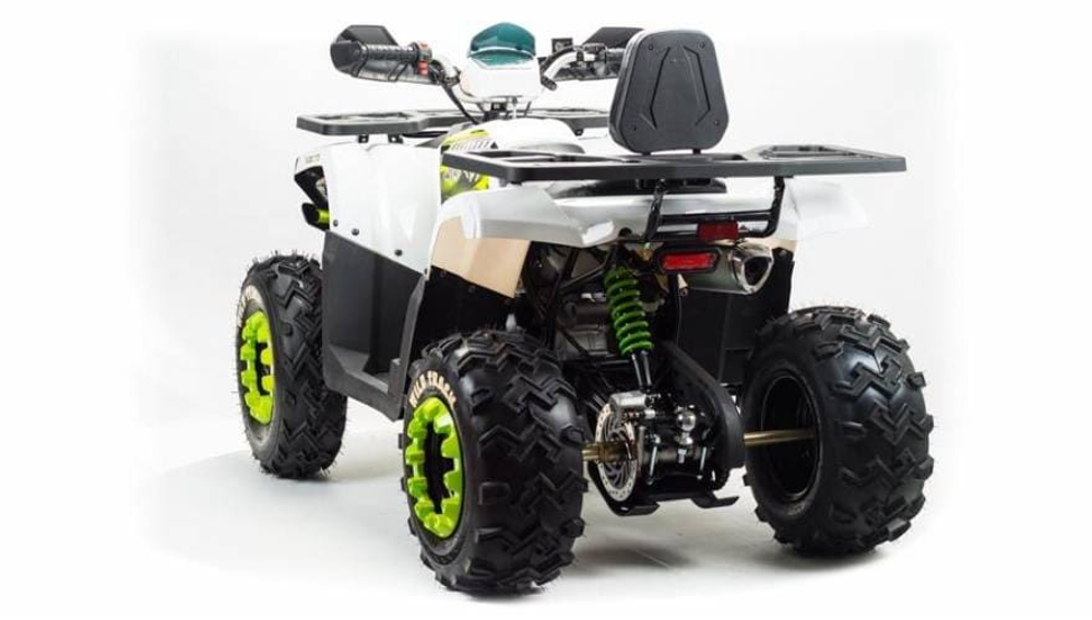 Квадроцикл MOTOLAND 200 Wild Track Lux ( Баланс. вал) (2021 Г.)