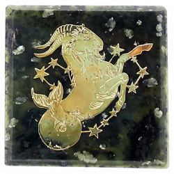 Пластина на магните "Знак зодиака" змеевик