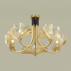 Накладная люстра Odeon Light 4870/5