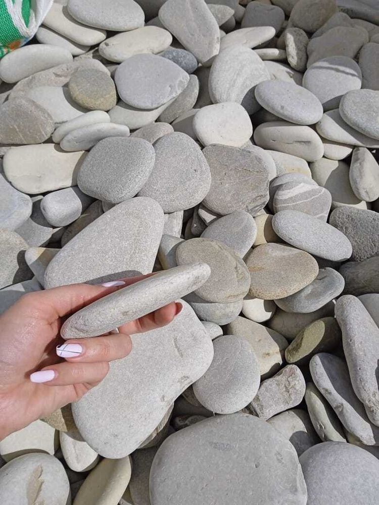 Buy pebble discount
