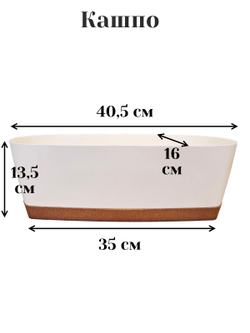 Герань белая с ампельной зеленью 80см в длинном кашпо