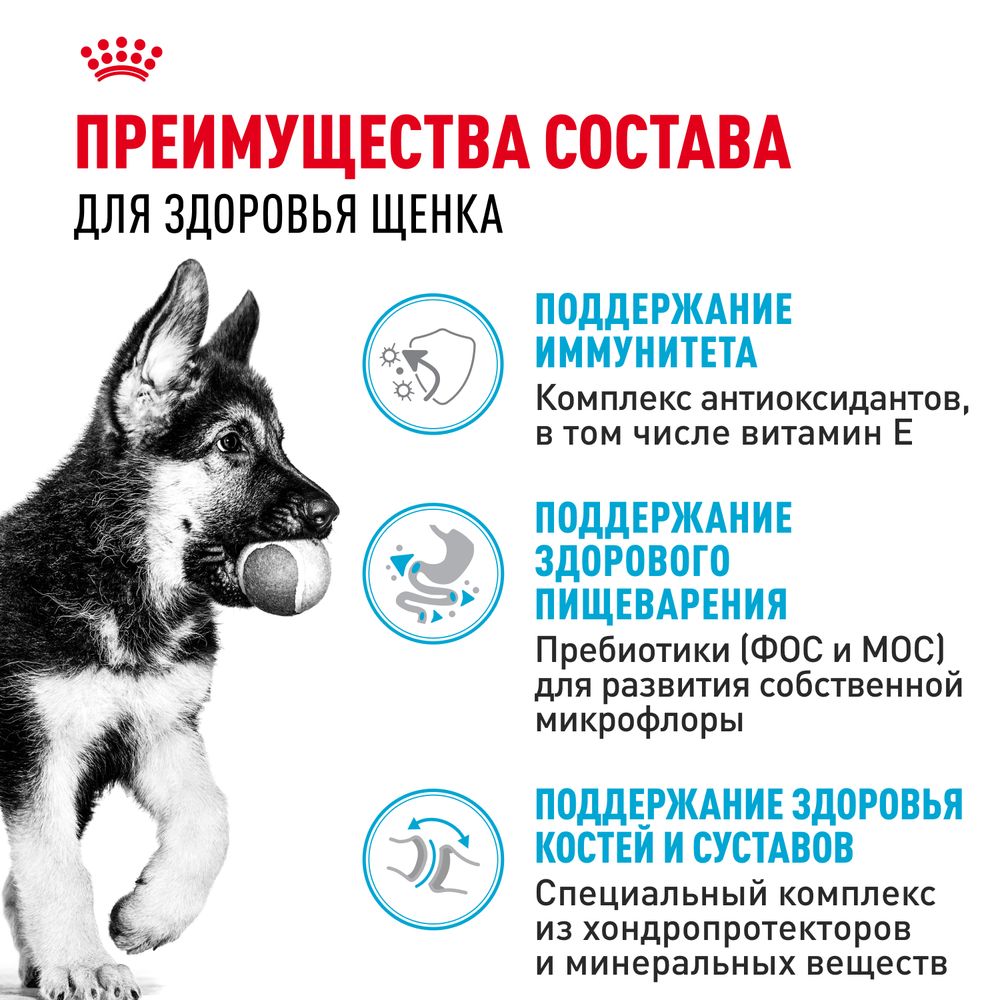 Сухой корм Royal Canin German Shepherd Puppy для щенков породы Немецкая овчарка до 15 месяцев
