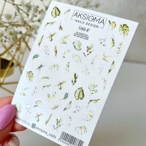 AKSIOMA Слайдер дизайн №160-F