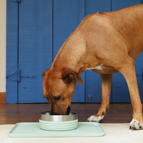 Коврик под миску Zee.Mat SAGE Zee.Dog