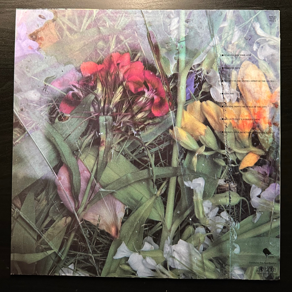 Sky Sunlight Saxon / Fire Wall - A Groovy Thing (Франция 1986г.)