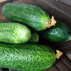 Огурцы свежие из Дагестана / 500 гр