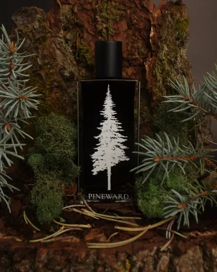 Pineward Fanghorn II