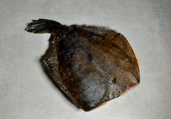 Камбала б/г IQF