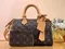 Сумка Louis Vuitton Speedy с плечевым ремнем Monogram