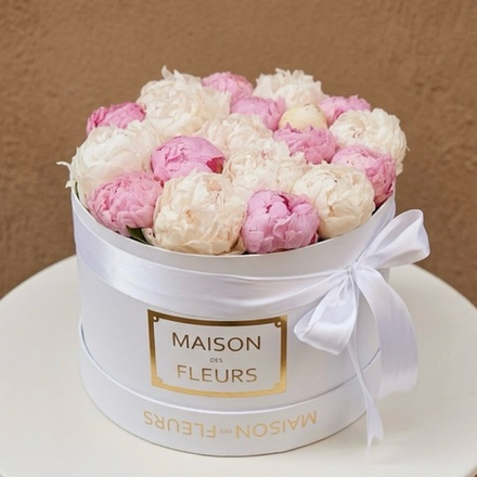 19 пионов в коробке Maison Des fleurs