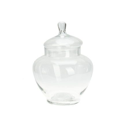 Емкость для хранения с крышкой стекло 21*28 см