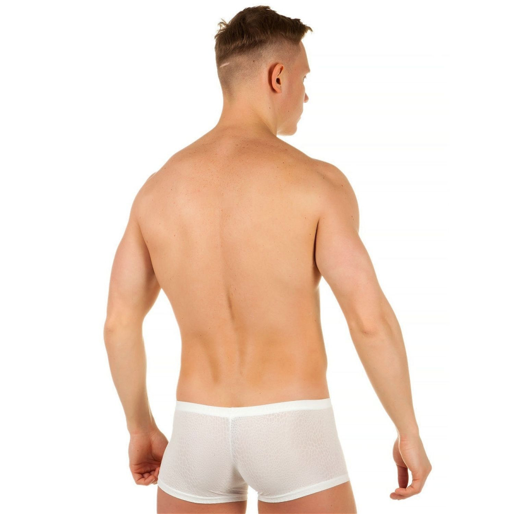 Мужские трусы-хипсы из ткани с текстурой змеиной чешуи Snake White Boxer (Размер: S) (Цвет: белый)