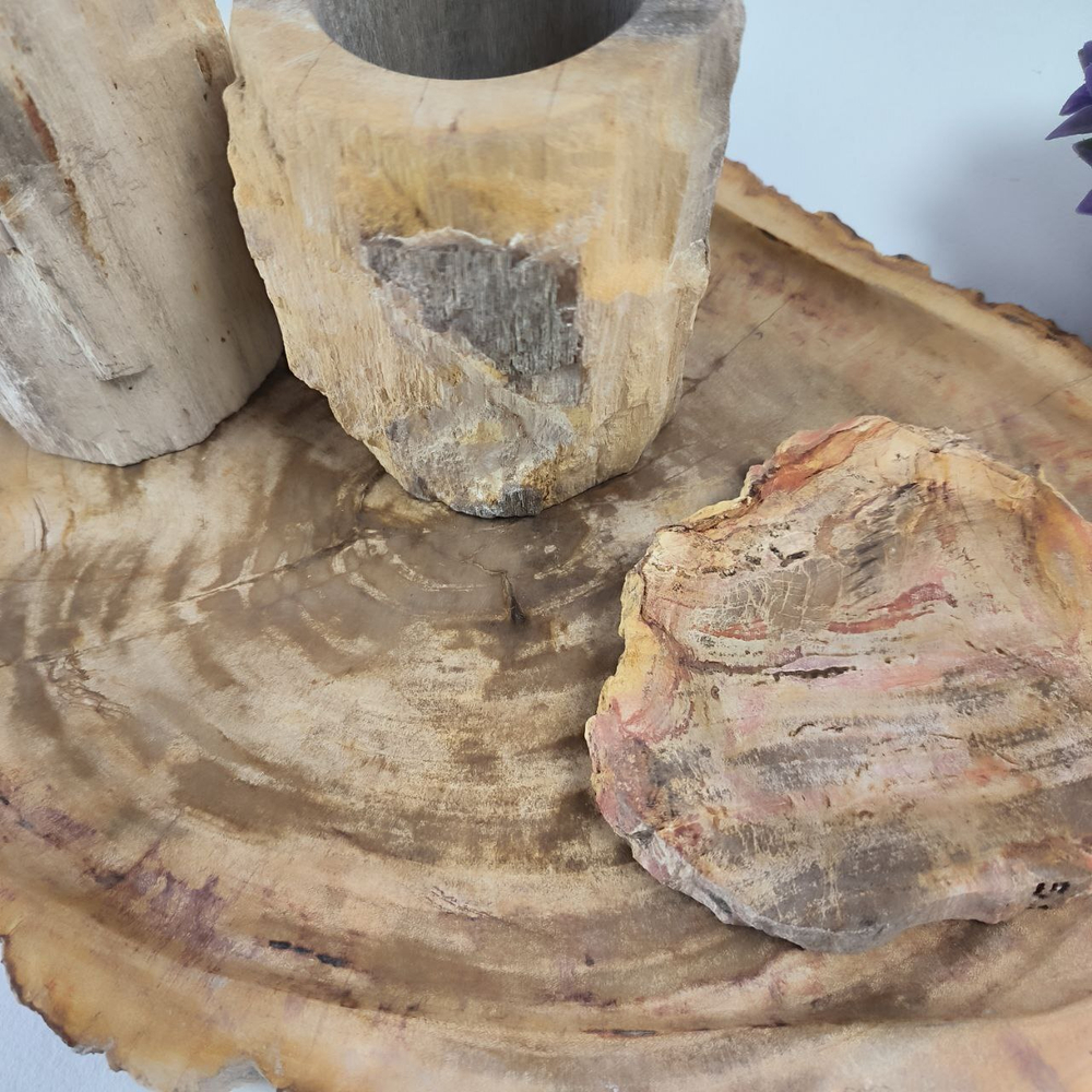 Набор из окаменелого дерева 4 предм Fossil Set NF-63062 поднос 29см*43см