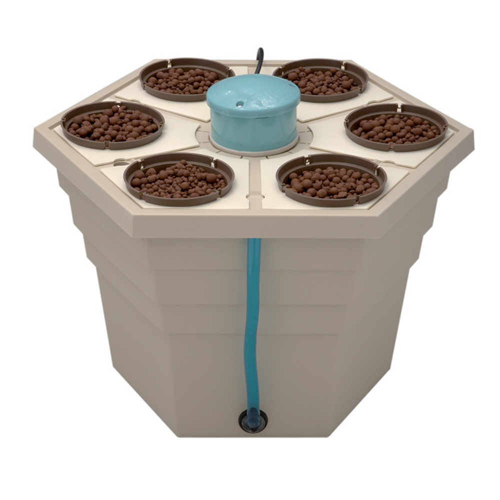 Rainforest 6" 12V GHE