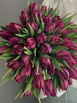 Тюльпаны пионовидные 51 шт