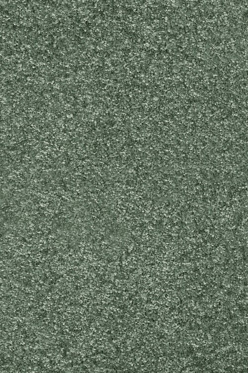 Ковровое покрытие AW Invictus Romelus 27