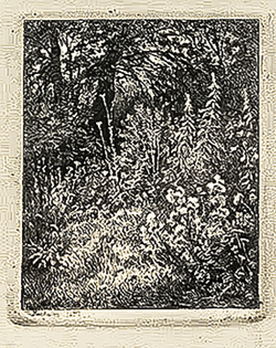 Шишкин И. И. Лесные цветы. Бумага, офорт. 1873.