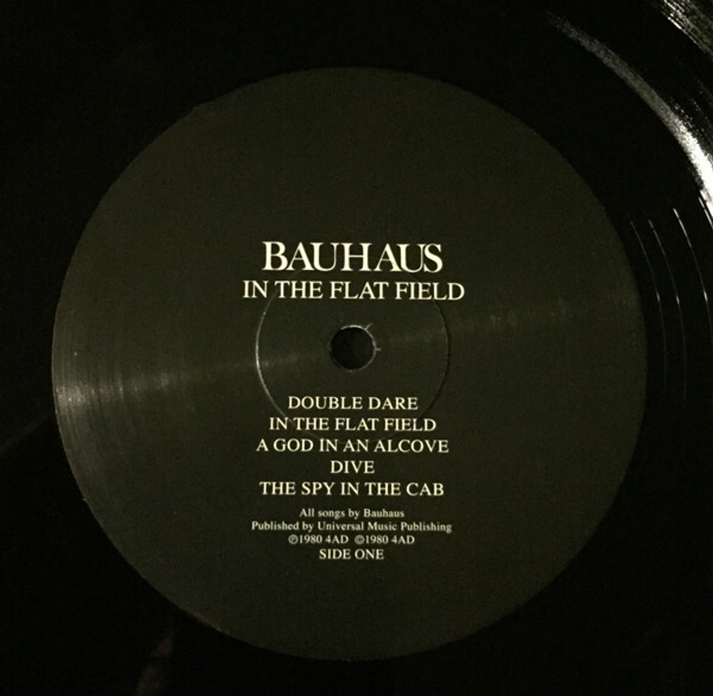 Bauhaus / In The Flat Field (LP)