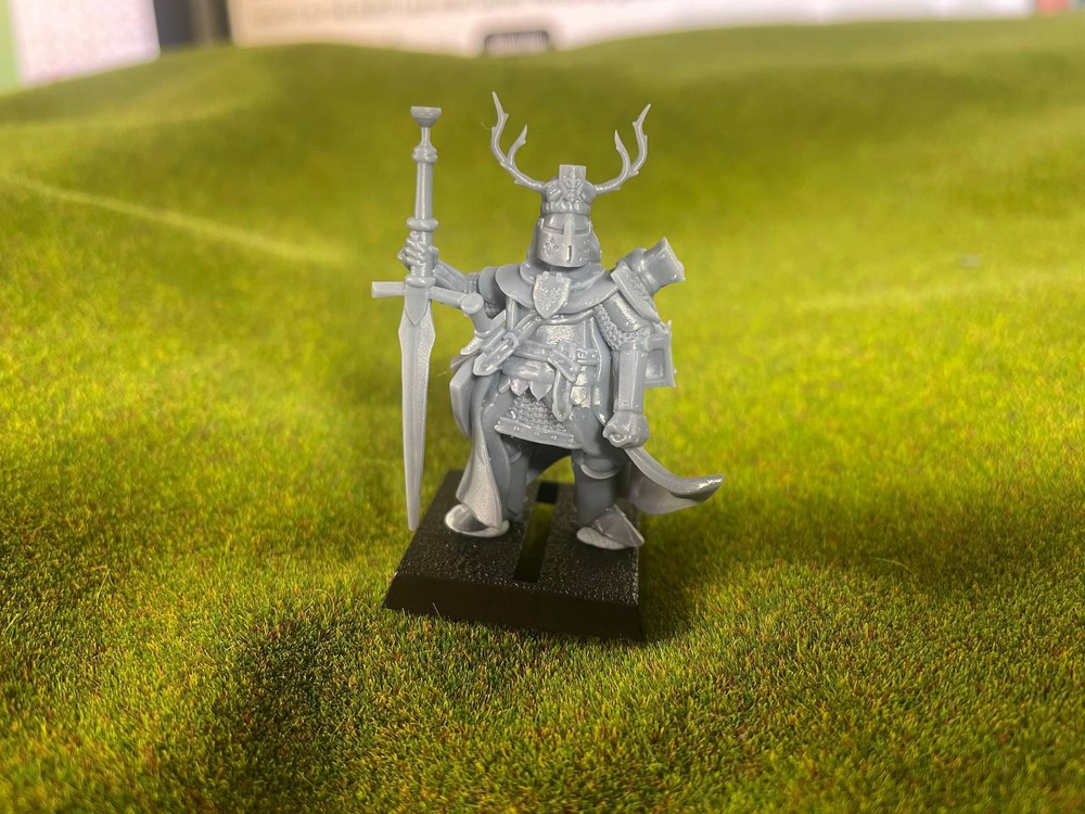 Bretonian Old Knight