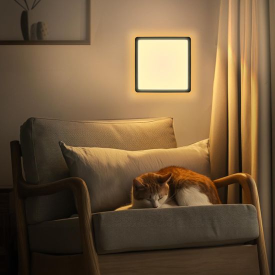 CL749K401 NORMA Черный с пультом и RGB