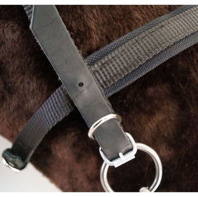 Узда недоуздок