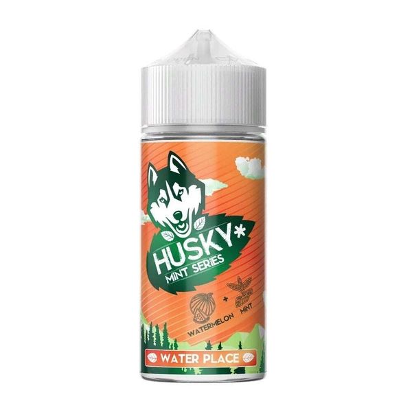 Купить Жидкость Husky Mint Series 100ml - Water Place