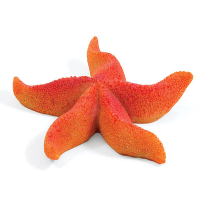 Коралл искусственный  "Астерина мини", 64*64*15мм, Laguna AQUA