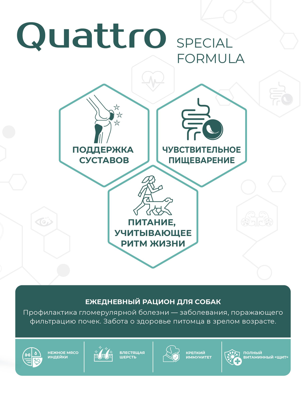 Корм для собак мелких пород SF Renal Shield, (гломерулярная болезнь), 800 гр, QUATTRO