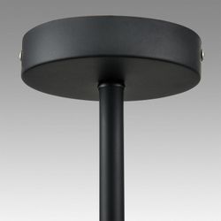 Люстра на штанге Lumion CAMILIE 8060/6C