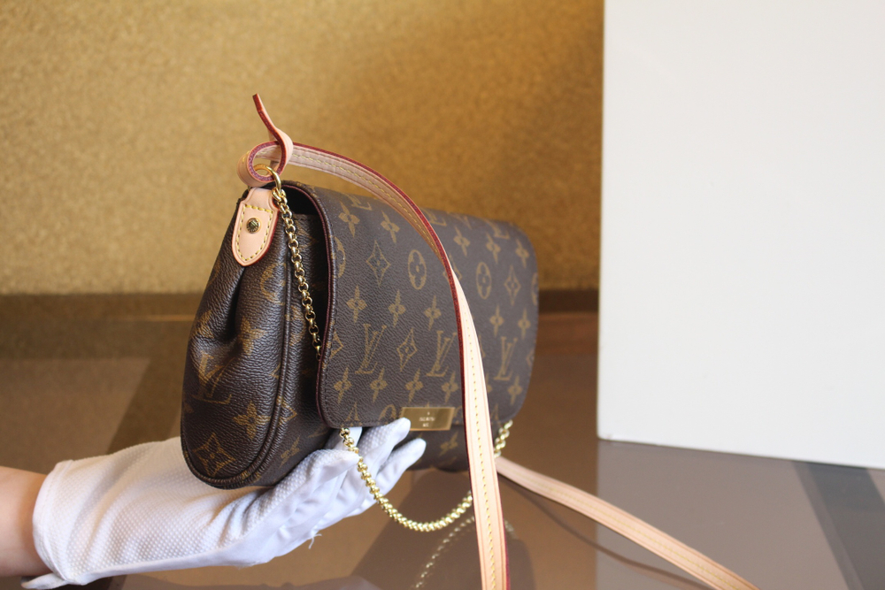 Louis Vuitton Favorite MM