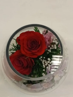 натуральные цветы в стекле, вакуум