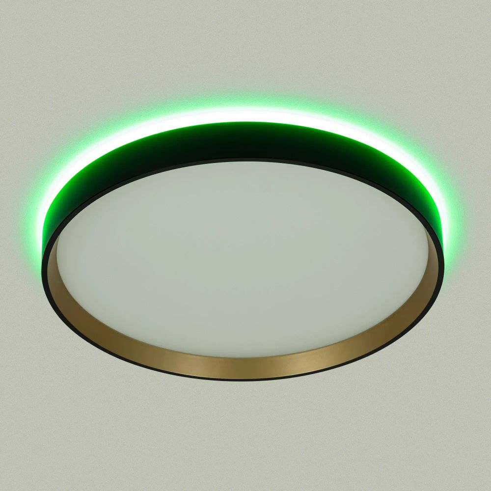 Citilux ETALON CL750321R LED RGB Светильник с пультом Чёрный+Золото