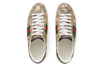Gucci Ace (Женская размерная сетка)